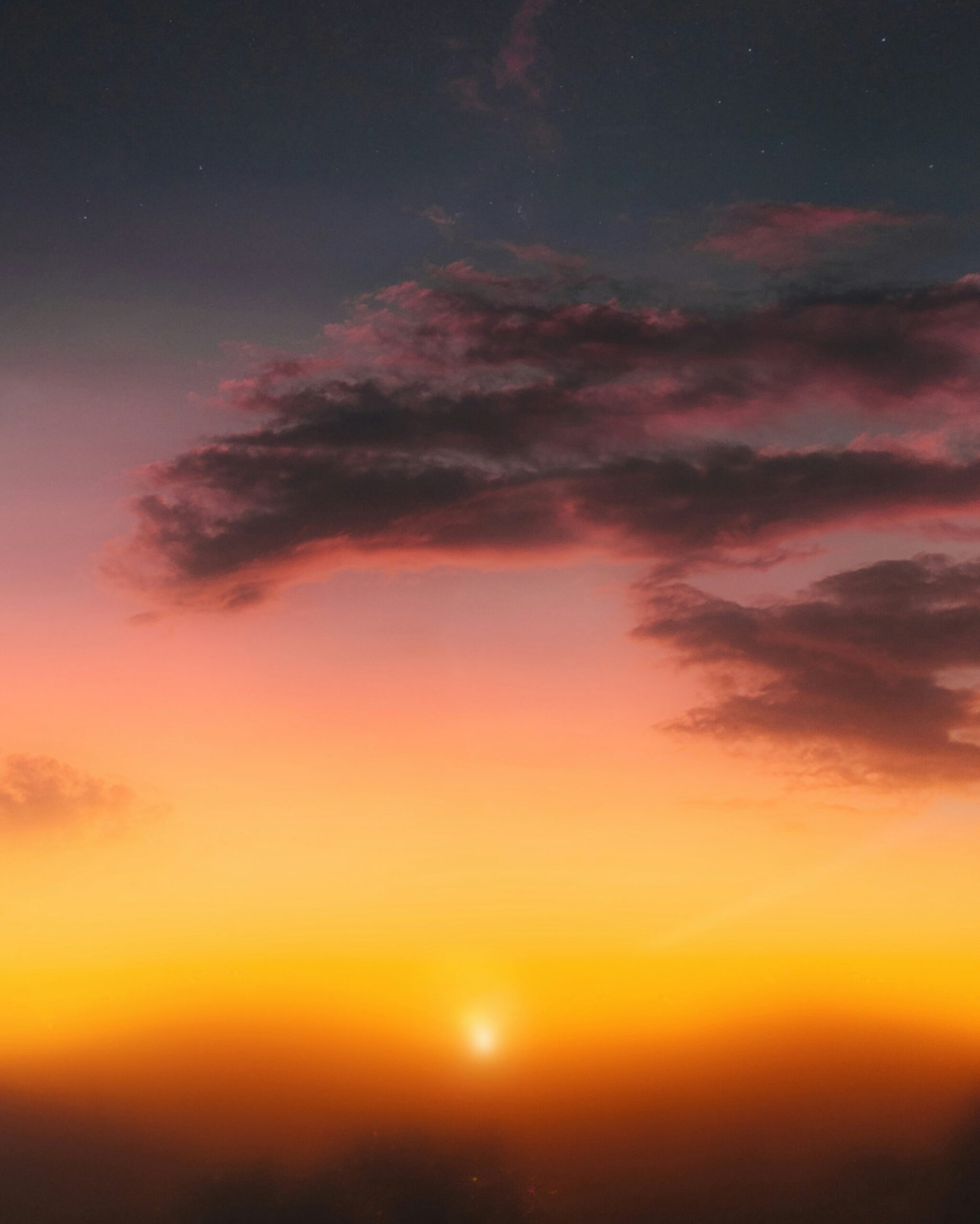 Sang Pencuri Perhatian